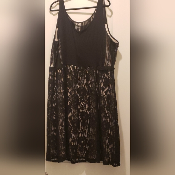 Lane Bryant Beige and Black Dress - Picture 5 of 6